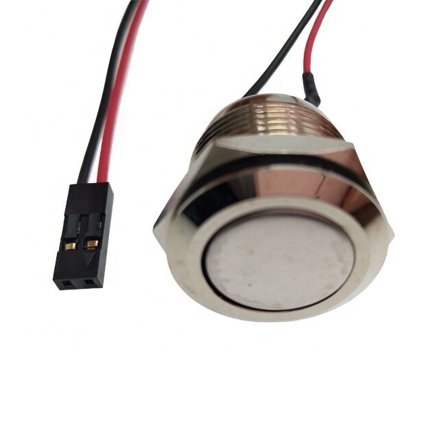 IP65 19.2 mm Panel Mount 12v SPST Momentary Push Button Switch with 2Pin Dupont and 50cm Cable